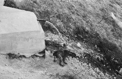 Прикрепленное изображение: 000.jpg